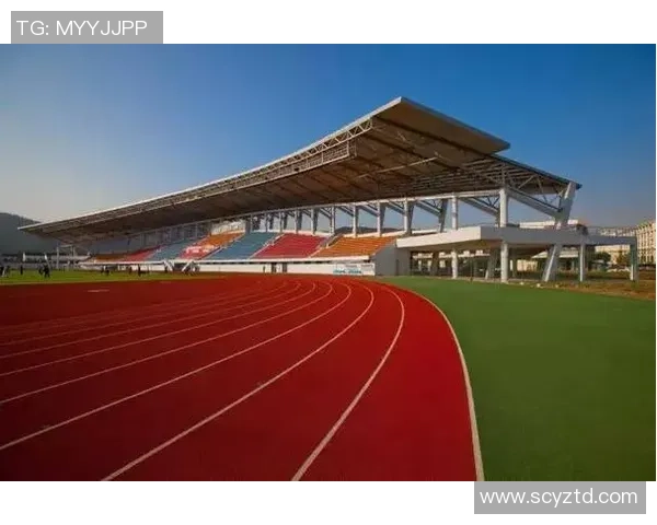 重庆网球队技术表现分析与数据挖掘探讨